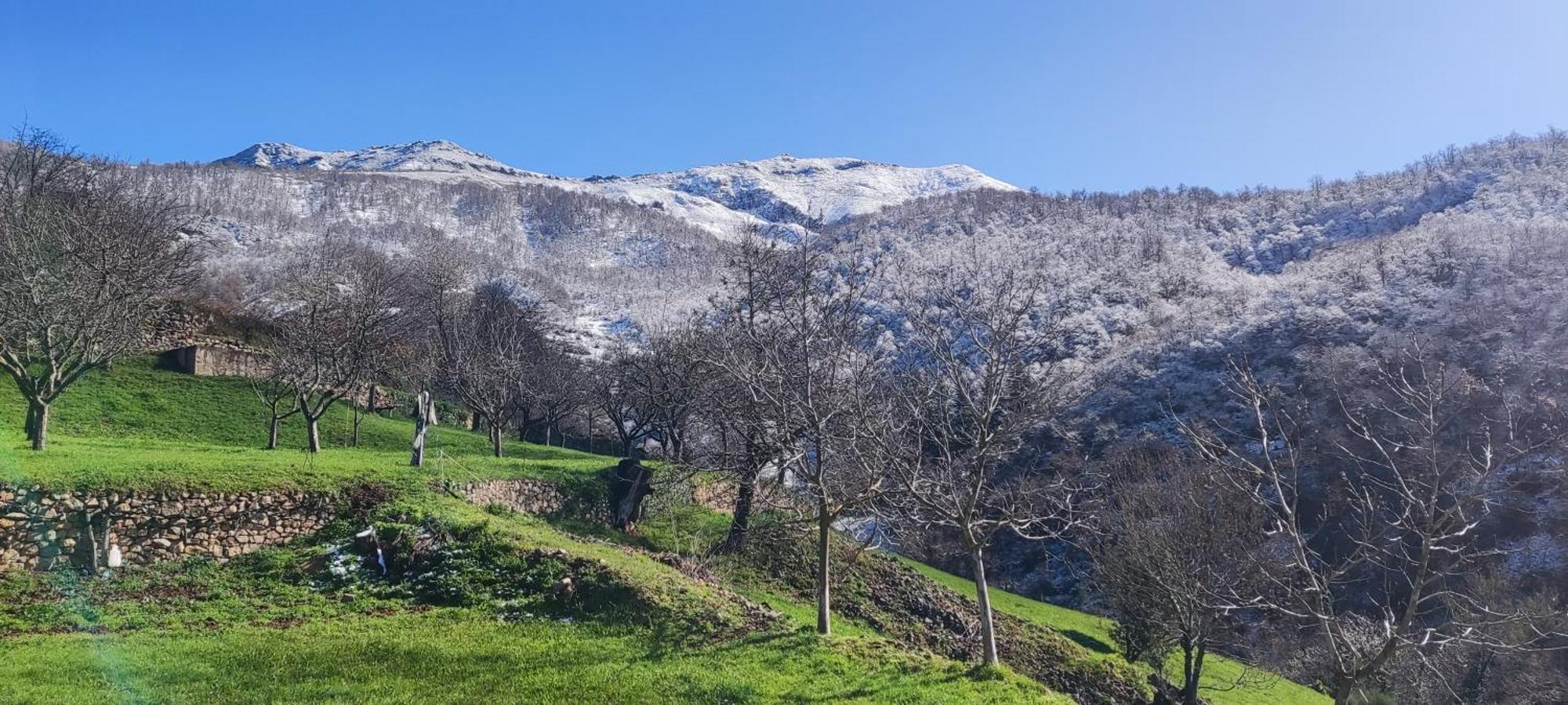 Vila Nuestra Casa De Luriezo Cabezón de Liébana Exteriér fotografie