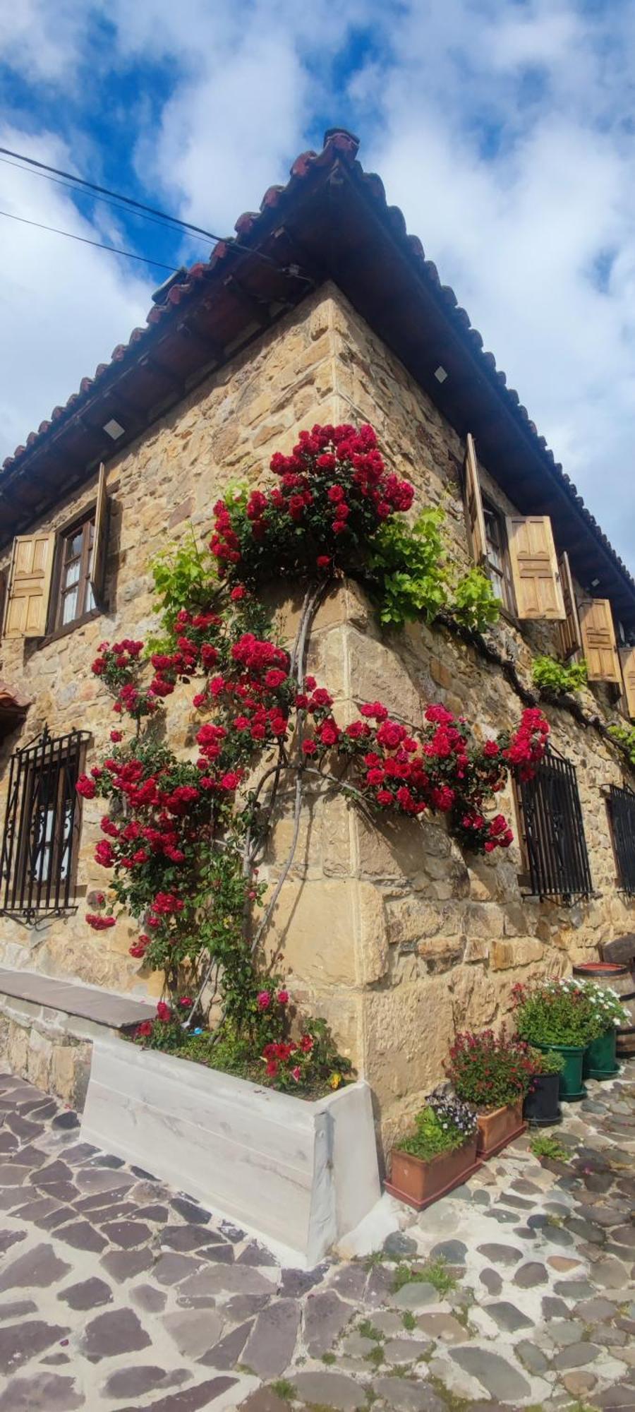 Vila Nuestra Casa De Luriezo Cabezón de Liébana Exteriér fotografie